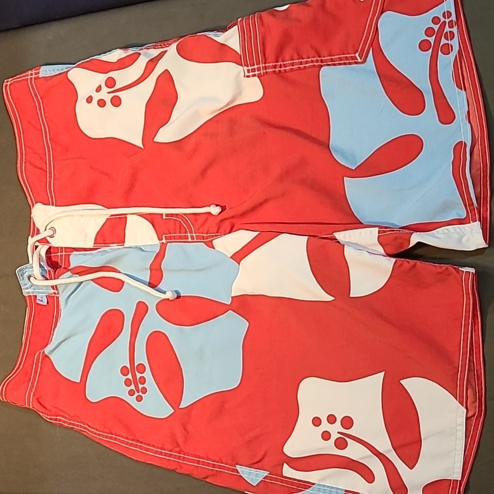 Hollister Swim Trunks Men's size 32